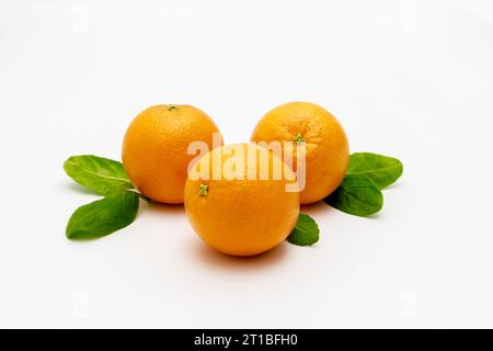 Isolierte frische Orangen und Blätter auf weißem Hintergrund Stockfoto