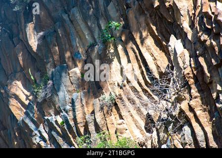 Botanischer und geologischer Park Gole Alcantara - Sizilien Stockfoto