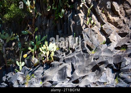 Botanischer und geologischer Park Gole Alcantara - Sizilien Stockfoto