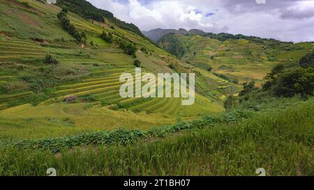 Landschaft mit grünen und gelben Reisterrassen und blauem bewölktem Himmel in der Nähe der Provinz Yen Bai, Nordvietnam Stockfoto