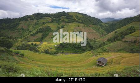 Landschaft mit grünen und gelben Reisterrassen und blauem bewölktem Himmel in der Nähe der Provinz Yen Bai, Nordvietnam Stockfoto