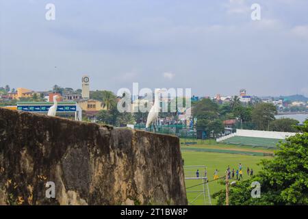 Egret-Vogel sitzt an der Wand der alten niederländischen Festung in Galle, Sri Lanka. Blauer Himmel vor Sonnenuntergang, Kopierraum für Text Stockfoto