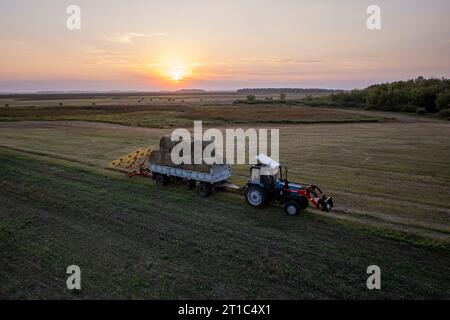 Traktor transportiert Heuhaufen auf dem Feld bei Sonnenuntergang im Sommer Stockfoto