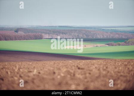 Frisch Gepflügtes Feld Im Frühjahr Bereit Für Den Anbau. Stockfoto