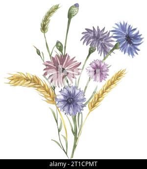 Aquarell Hand gezeichnet Kornblumen- und Weizenstrauß Illustration, Wildblumen Clipart, Wiesenblüten Komposition Stockfoto