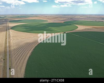 Luftaufnahme des Kreisfeldes in der Ukraine. Drohnenfoto Stockfoto
