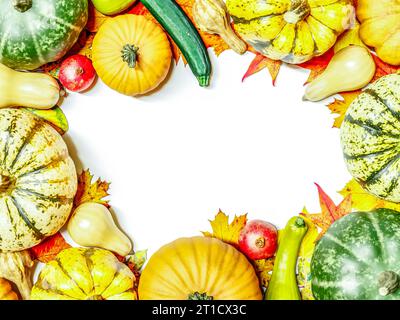 Sommerkürbisse, Kürbisse, Zucchini und andere Herbstfrüchte sind in einem Rahmen mit weißem Raum in der Mitte angeordnet Stockfoto