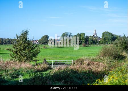 Grüne Wiesen und Bäume mit dem Dorf im Hintergrund rund um Liedekerke, Ostflämische Region, Belgien Stockfoto