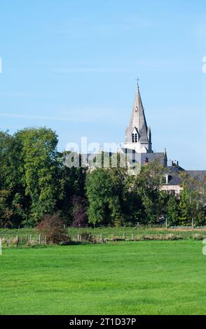 Grüne Felder und Bäume mit dem Kirchturm im Hintergrund um Liedekerke, Ostflämische Region, Belgien Stockfoto