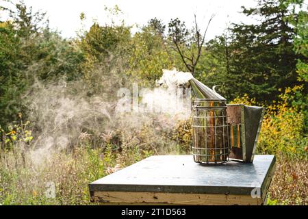 Raucher auf einem Bienenstock im Bienenhaus. Stockfoto