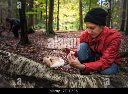 Person, die Pilzsorte in Einem Wald in Skandinavien identifiziert Stockfoto