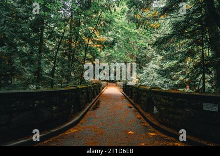 Piniennadeln auf der Whatcom Falls Bridge Stockfoto