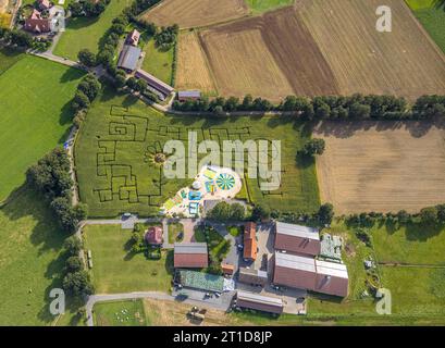 Luftbild, Maislabyrinth Terhardt und Vergnügungspark, Sonnenblume im Feld, Lippramsdorf, Haltern am See, Ruhrgebiet Münsterland, Nordrhein-Westfalen, Deutschland ACHTUNGxMINDESTHONORARx60xEURO *** Luftaufnahme, Maislabyrinth Terhardt und Vergnügungspark, Sonnenblume im Feld, Lippramsdorf, Haltern am See, Ruhrgebiet Münsterland, Nordrhein-Westfalen, Deutschland ATTENTIONxMINESTHONORARx60xEURO Credit: Imago/Alamy Live News Stockfoto