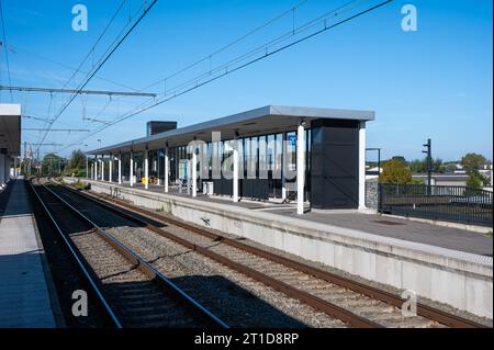 Liedekerke, Ostflämische Region, Belgien, 1. Oktober, 2023: leerer Bahnsteig und Gleise des Bahnhofs Stockfoto