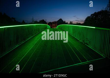 Liedekerke, Ostflämische Region, Belgien, 1. Oktober, 2023 - Nachtblick über die Fußgängerbrücke mit grünen Lichtern am Bahnhof, Stockfoto