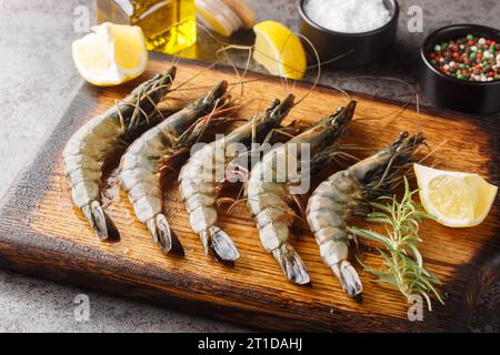 Rohe ungeschälte schwarze Tigergarnelen, Garnelen mit Zitrone, Kräutern und Gewürzen aus der Nähe auf dem Holzbrett auf einem Tisch. Horizontal Stockfoto