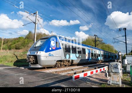 Durchfahrt eines TER-Zuges durch einen Bahnübergang zwischen Paris, Rouen und Le Havre in Le Houlme (Normandie, Nordfrankreich) Stockfoto