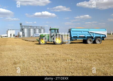 Weizenernte im Sommer im Département Loiret (Nord-Mittelfrankreich). Traktor mit Anhänger und Kooperative Silos im Hintergrund Stockfoto