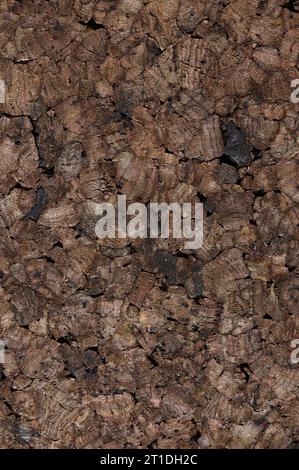 Textur der Oberfläche Rohkork Brett Holz Hintergrund Nahaufnahme Stockfoto