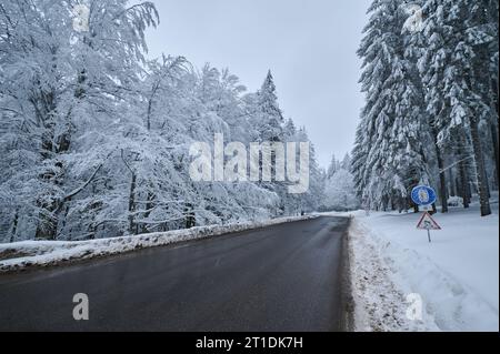 winter road in the snowy forest in the mountains Stockfoto