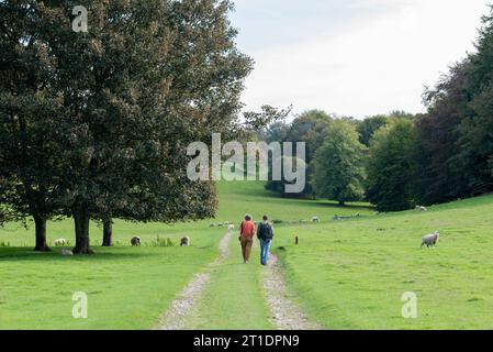 Ein paar Leute laufen auf einem Pfad durch die englische Landschaft, vorbei an Bäumen und Schafen. Stockfoto