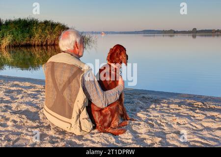 Morgendliche Atmosphäre. Ein älterer Mann sitzt am Schlei-Strand und hält seinen Ihrish Setter-Hund in den Armen. Stockfoto