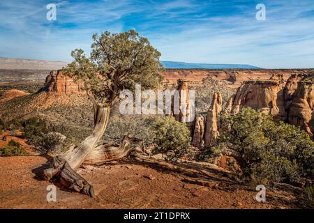 Wunderschöne Landschaft im Dead Horse Point State Park, Utah Stockfoto