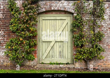 Alte Holztür mit abblätternder Farbe, umgeben von Laub. Stockfoto