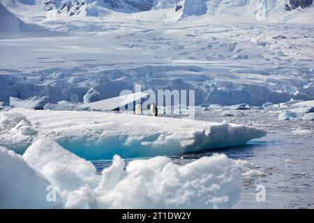Antarktis; Antarktische Halbinsel auf Yalour Island; zwei Adelie-Pinguine auf einem flachen Eisberg; im Hintergrund ein Gletscher, der im Meer endet; Eisschollen und ich Stockfoto