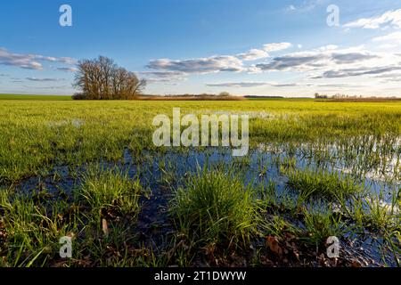 Abendstimmung im NSG Sulzheimer Gipshügel, Bezirk Schweinfurt, Niederfranken, Bayern, Deutschland Stockfoto