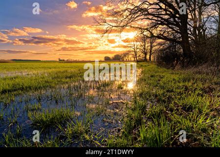 Abendstimmung im NSG Sulzheimer Gipshügel, Bezirk Schweinfurt, Niederfranken, Bayern, Deutschland Stockfoto