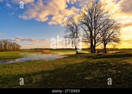 Abendstimmung im NSG Sulzheimer Gipshügel, Bezirk Schweinfurt, Niederfranken, Bayern, Deutschland Stockfoto