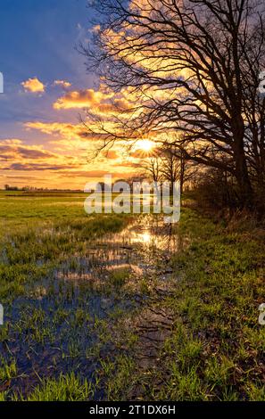 Abendstimmung im NSG Sulzheimer Gipshügel, Bezirk Schweinfurt, Niederfranken, Bayern, Deutschland Stockfoto