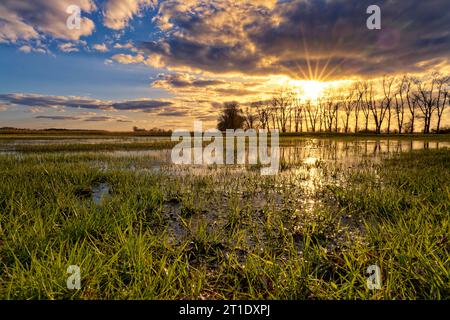 Abendstimmung im NSG Sulzheimer Gipshügel, Bezirk Schweinfurt, Niederfranken, Bayern, Deutschland Stockfoto