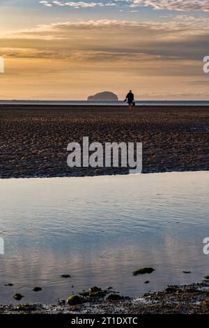 Einzelperson zu Fuß am Strand mit Bass Rock in der Nähe, Belhaven Bay, East Lothian, Schottland, Großbritannien Stockfoto