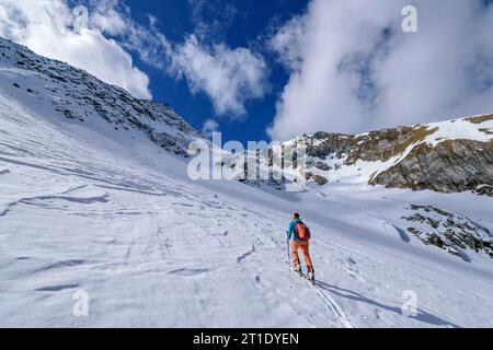 Frau auf Skitour steigt auf Grinbergspitze, Grinbergspitze, Tuxer Kamm, Zillertaler Alpen, Tirol, Österreich Stockfoto