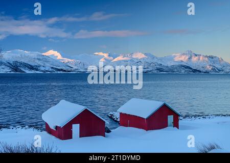 Zwei schneebedeckte rote Häuser in Nordfjord, Skaland, Senja, Troms und Finnmark, Norwegen Stockfoto