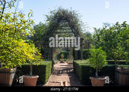 Im Garten von Babylonstoren, alte Farm, Weinbauernhof, Franschhoek, Westkap-Provinz, Stellenbosch, Cape Winelands, Südafrika, Afrika Stockfoto