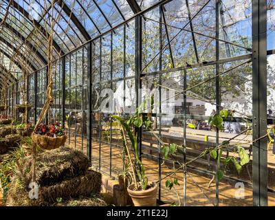 Gewächshaus im Garten von Babylonstoren, alte Farm, Weinbauernhof, Franschhoek, Westkap-Provinz, Stellenbosch, Cape Winelands, Südafrika, Afrika Stockfoto