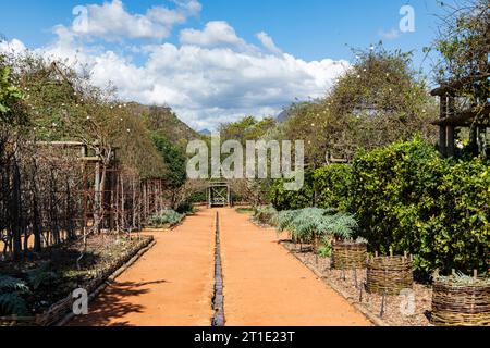 Im Garten von Babylonstoren, alte Farm, Weinbauernhof, Franschhoek, Westkap-Provinz, Stellenbosch, Cape Winelands, Südafrika, Afrika Stockfoto