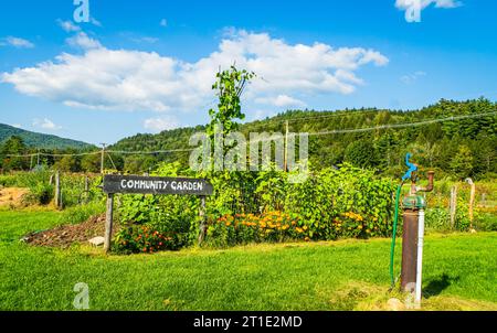 gemeinschaftsgarten bietet Platz für Menschen, um ihr eigenes Gemüse anzubauen Stockfoto
