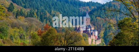 Schloss Zwingenberg in Herbststimmung, Baden-Württemberg Stockfoto