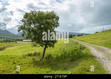 Der Rob Roy Way Wanderweg in der Nähe von Amulree, Perthshire, Schottland Stockfoto