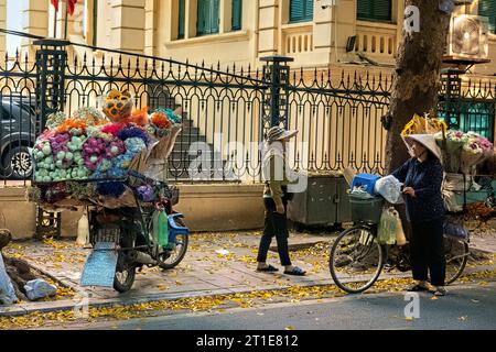 Dracontomelum verlässt im Herbst Hanoi, Vietnam Stockfoto