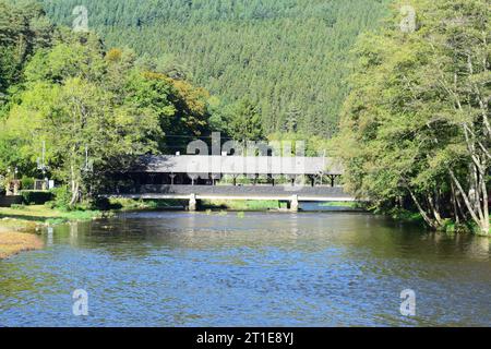 Verwitterte Holzbrücke mit Dach Stockfoto