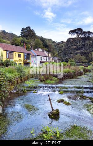 Cheddar Yeo Schwert im Fluss Cheddar Yeo im Dorf Cheddar, Somerset, England Stockfoto