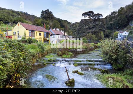 Cheddar Yeo Schwert im Fluss Cheddar Yeo im Dorf Cheddar, Somerset, England Stockfoto