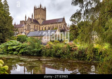 Wells Cathedral aus den Gärten des Bischofspalastes, Wells, Somerset, England, Großbritannien Stockfoto