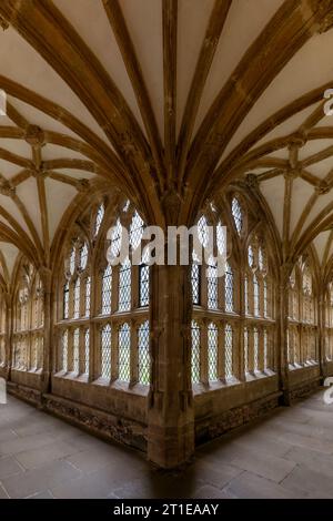 Teil des prächtigen Kreuzgangs, der um 1500 in der Wells Cathedral in Somerset erbaut wurde Stockfoto