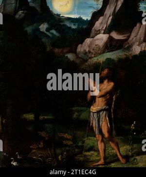 St. Johannes der Täufer in der Wildnis, 1535. Stockfoto